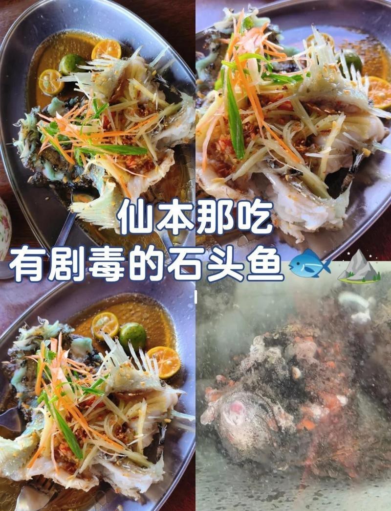 石頭魚為何要盡量少吃【關于石頭魚的一些問題】