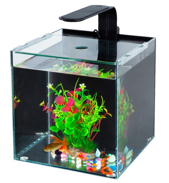 雅江水族店【雅江水族店有哪些主打產品】
