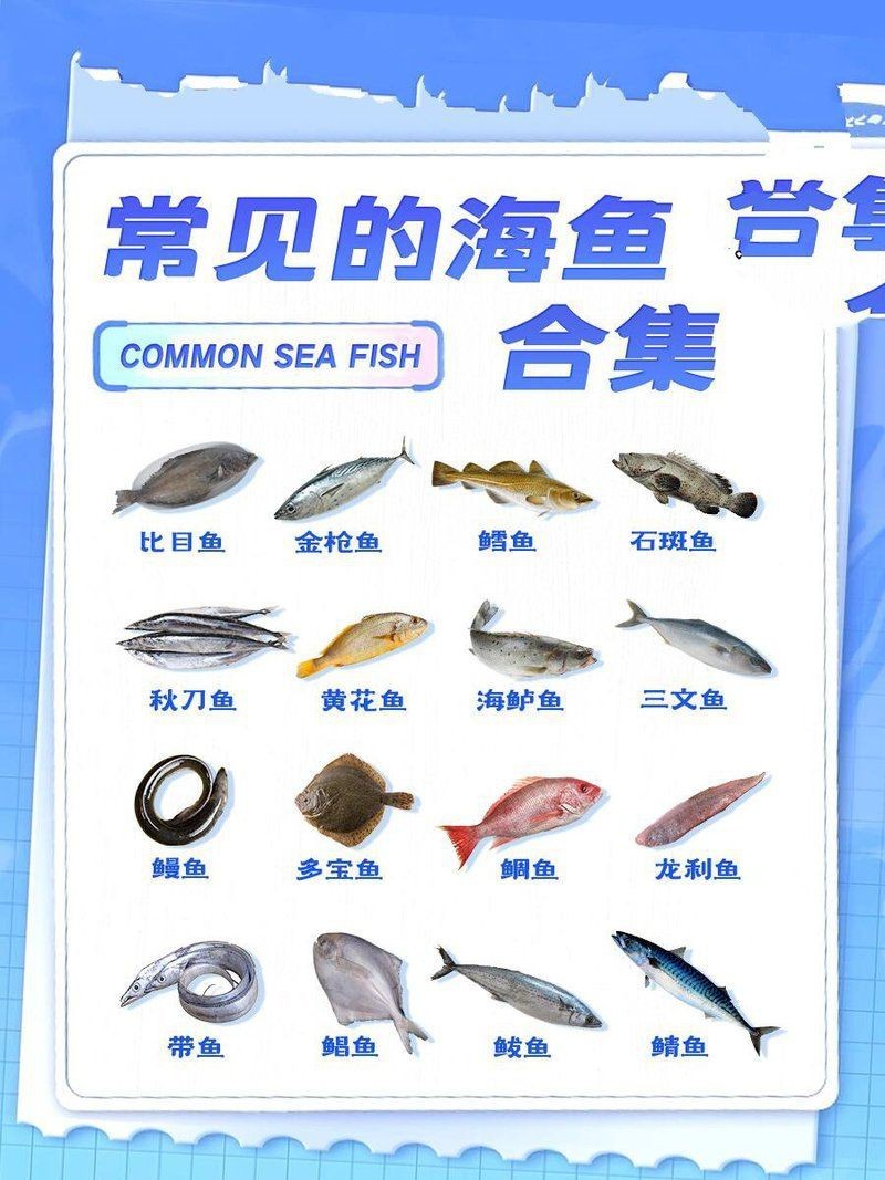 海魚是什么魚【海魚與淡水魚在海洋環境中發展出許多獨特的生理結構】