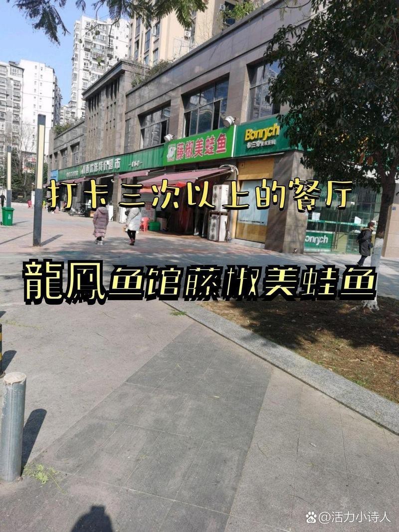 雙峰龍魚店【雙峰地區(qū)與\