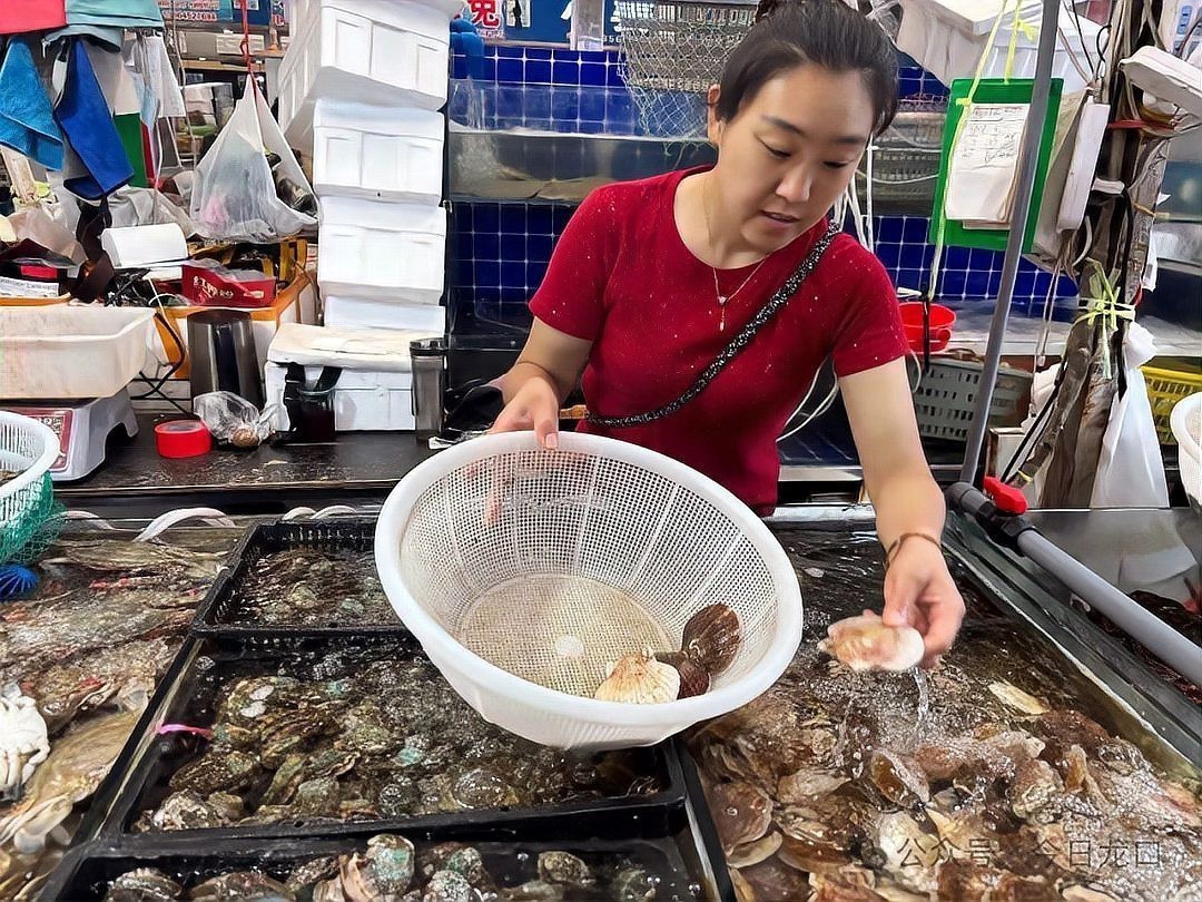 龍口龍魚店【龍口哪里賣魚缸的最多】