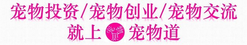 廣州有幾個觀賞魚市場【廣州觀賞魚產業發展現狀】