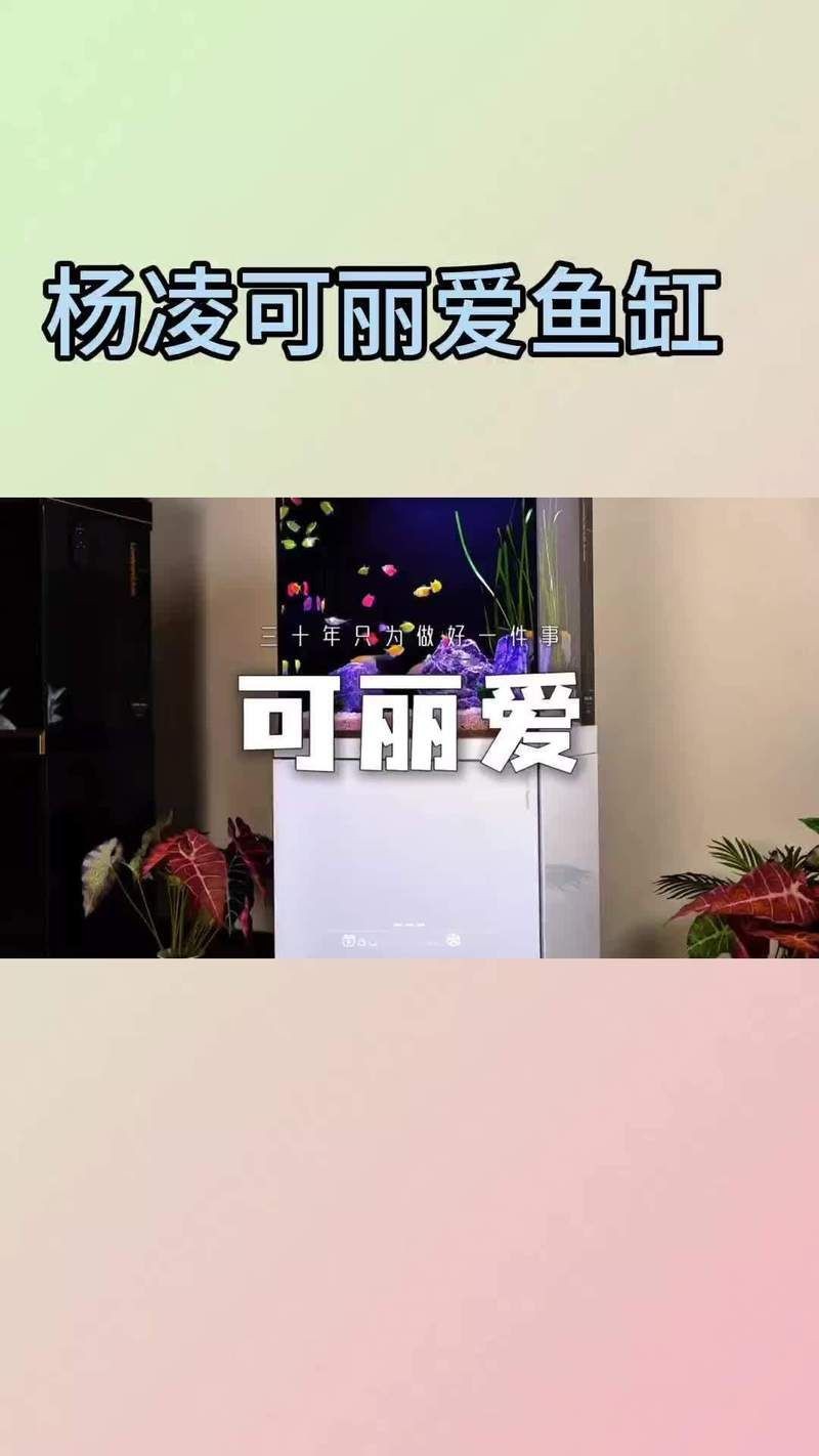 楊凌魚缸定做【楊凌可麗愛魚缸定制服務(wù)】
