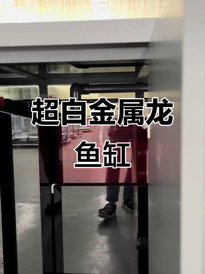 龍魚缸需要哪些特殊設備？【龍魚缸特殊設備配置需根據龍魚品種、魚缸尺寸及水質管理需求綜合選擇】