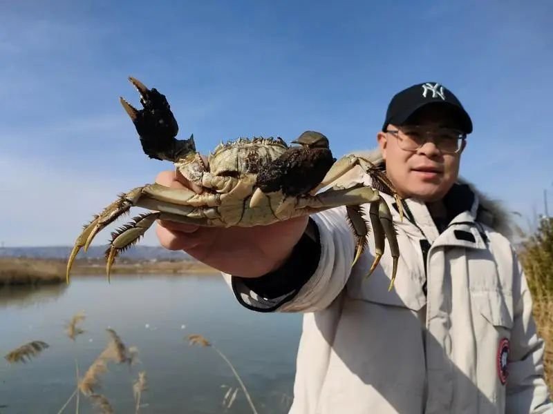 襄汾龍魚店【襄汾哪家魚店最好】