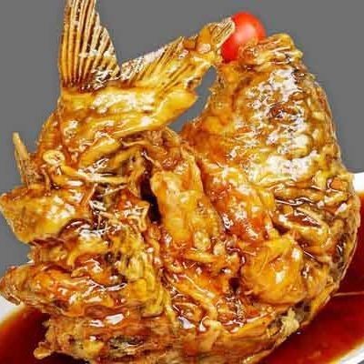 襄汾龍魚店【襄汾哪家魚店最好】