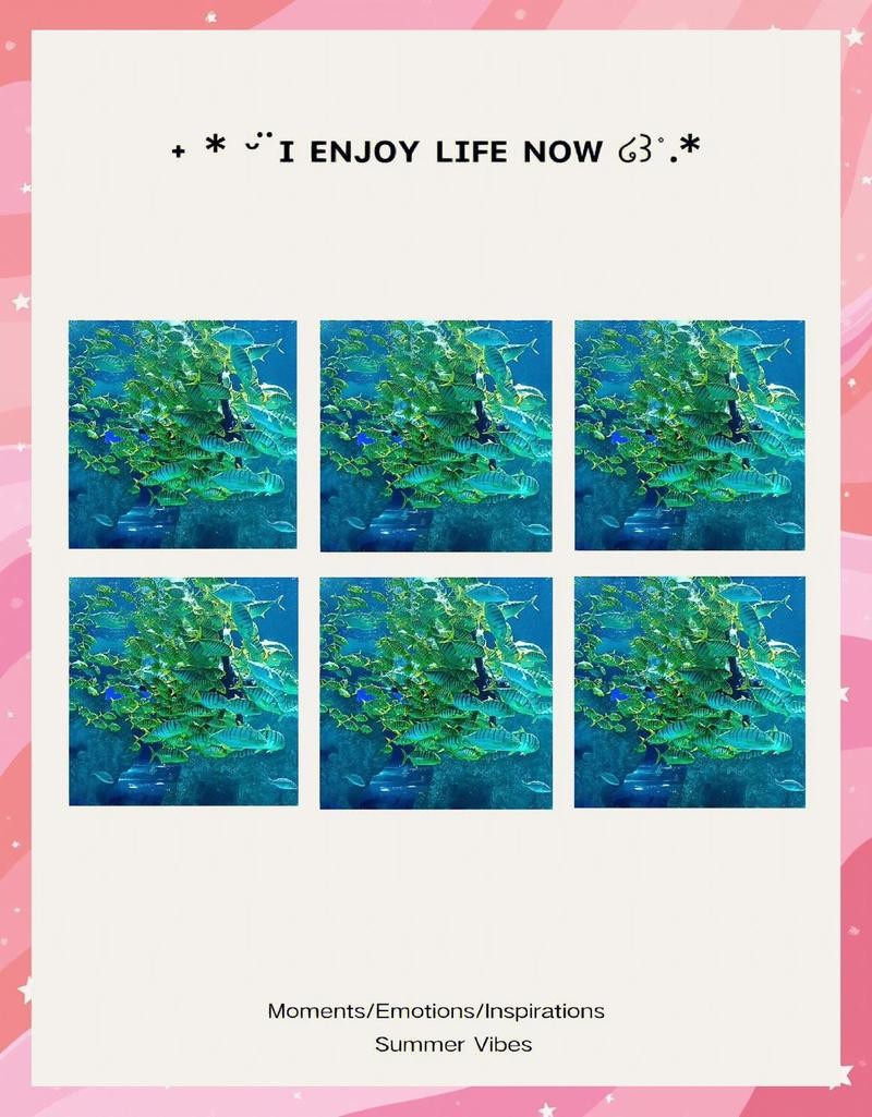 蕪湖水族店【蕪湖水族店哪家口碑最好】