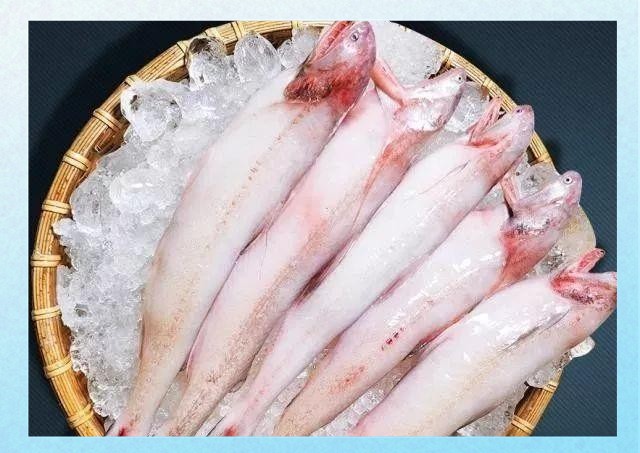能詳細描述一下龍頭魚嗎？【東莞奇遇：男子釣獲龍頭魚，神秘身份引熱議！】