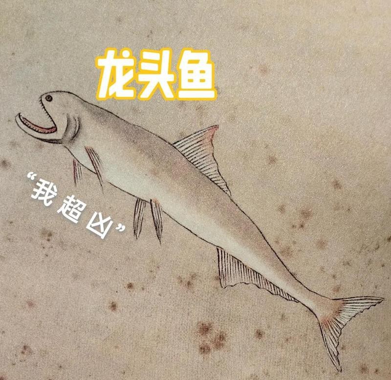 能詳細描述一下龍頭魚嗎？【東莞奇遇：男子釣獲龍頭魚，神秘身份引熱議！】