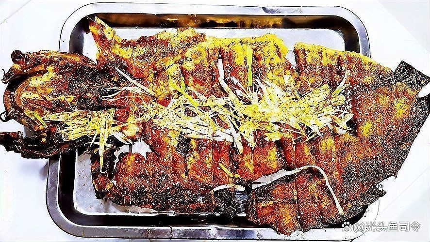 廣東埃及鯰魚能吃嗎【埃及塘鲺、革胡子鯰“變臟”之謎，釣魚人木木“變臟”之謎】