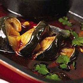 新北龍魚店【常州新北區的龍魚店哪家口碑最好】