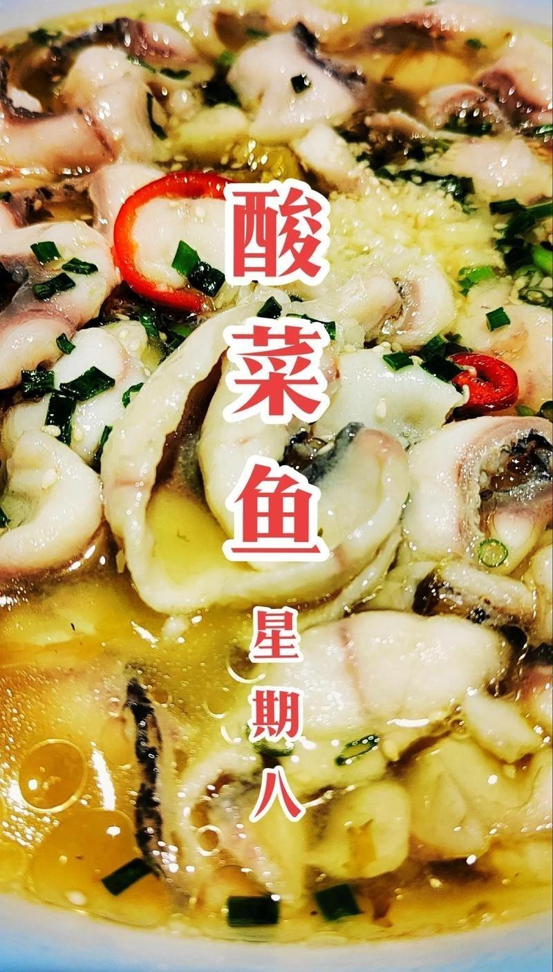 新北龍魚店【常州新北區的龍魚店哪家口碑最好】