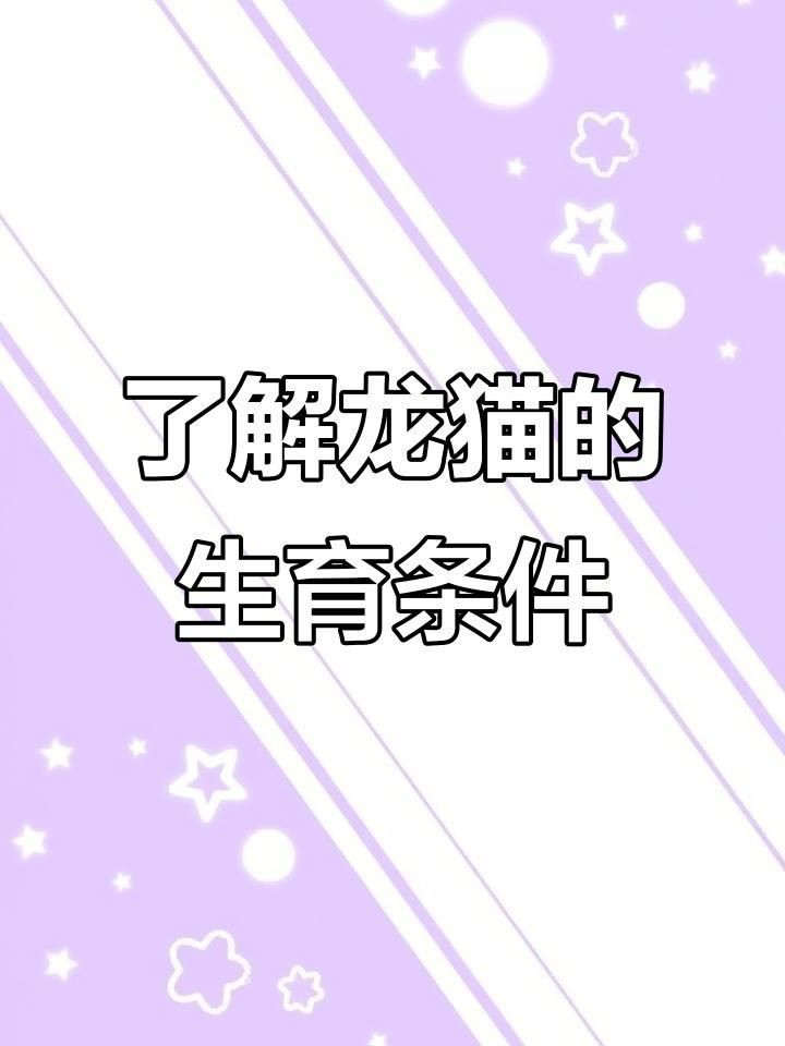 龍貓的繁殖過程是怎樣的？【1112,龍貓繁殖全攻略】