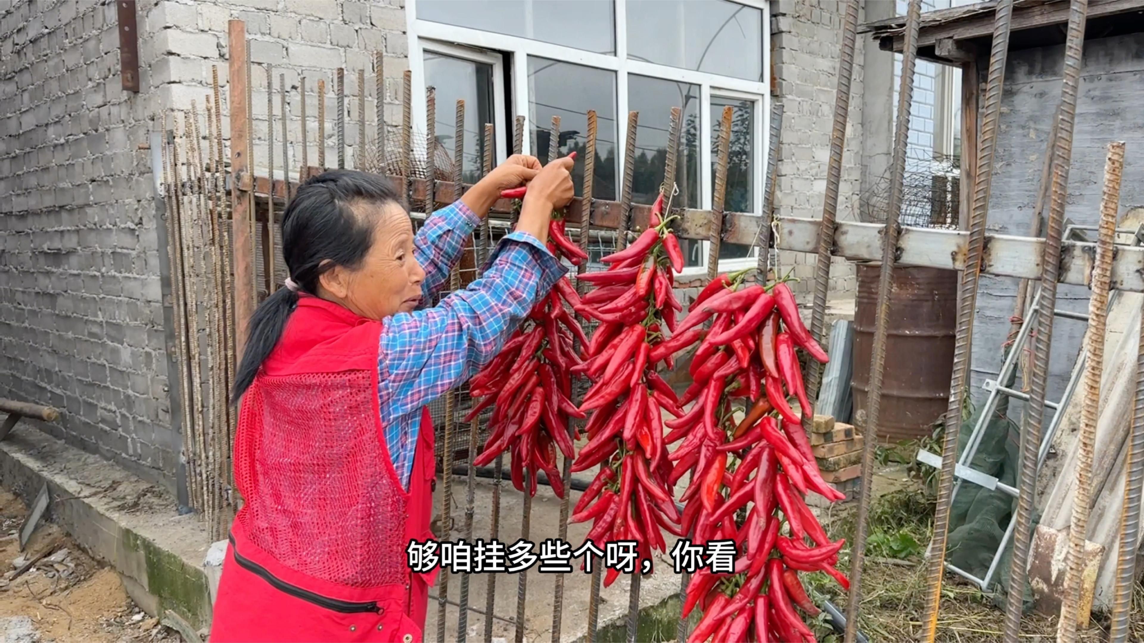 辣椒串不能隨便掛【什么屬相的人不能掛辣椒】