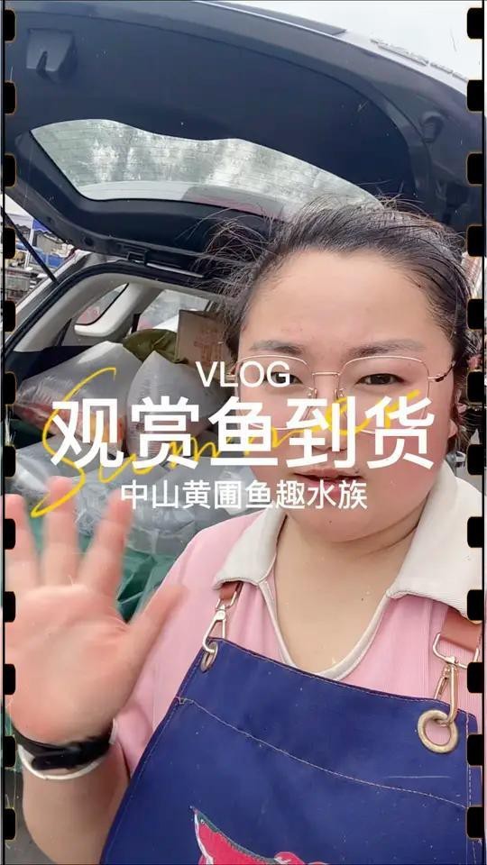 蛟河水族店【蛟河市御錦閣水族觀賞魚商店和御錦閣水族店為何注銷】