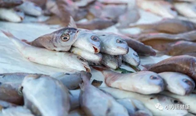 鯉魚十大害處【健康鯉魚有哪些功效和可能的副作用】