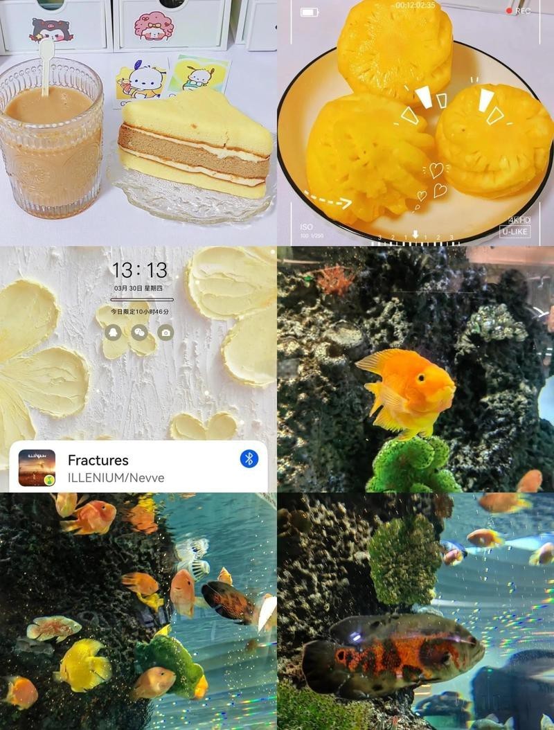雨花臺水族店【南京雨花臺區水族業態】