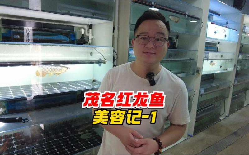 有哪些專業的紅龍魚美容師推薦？【智能模式回答完成調用工具：自在招聘】