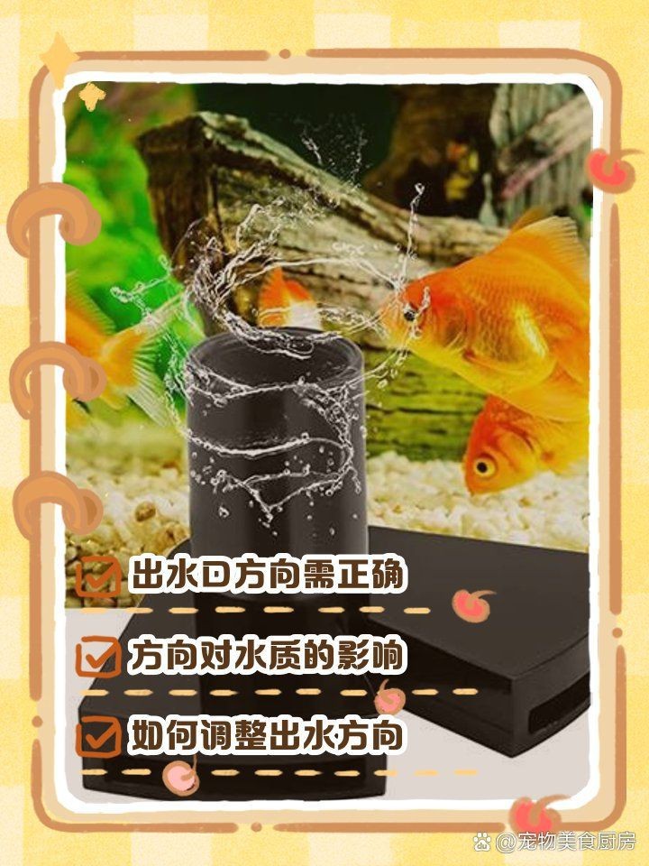 虎斑鴨嘴鯊魚最忌三種東西【百度知道，魚缸鴨嘴三忌】