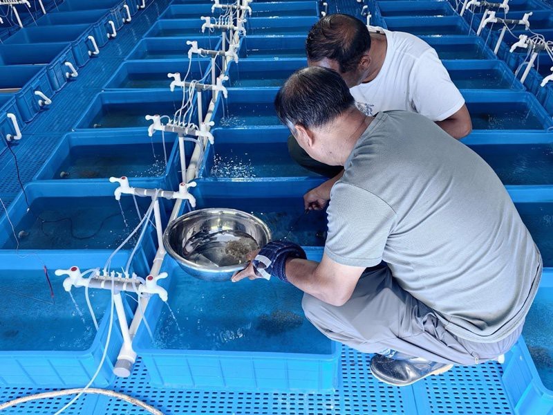 龍泉龍魚店【山東省棗莊市滕州市龍泉龍魚之家水族館】