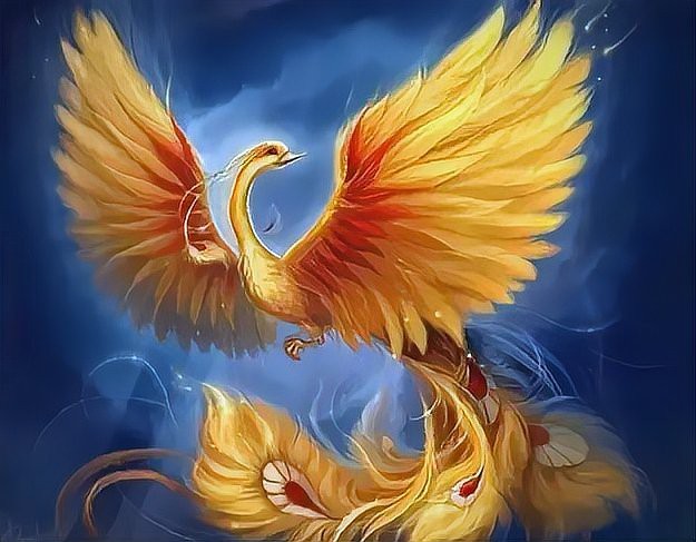 鳳凰的寓意和象征風(fēng)水【鳳凰吉祥物的風(fēng)水奧秘】