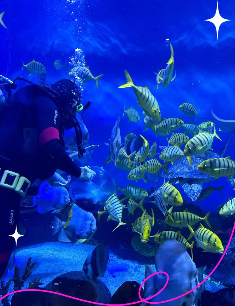 閔行水族店【上海市閔行區瓊瑩水族店】