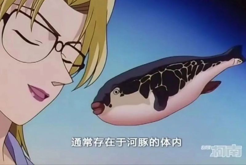 河豚和河鲀是一種魚嘛【河豚與河鲀的區別】