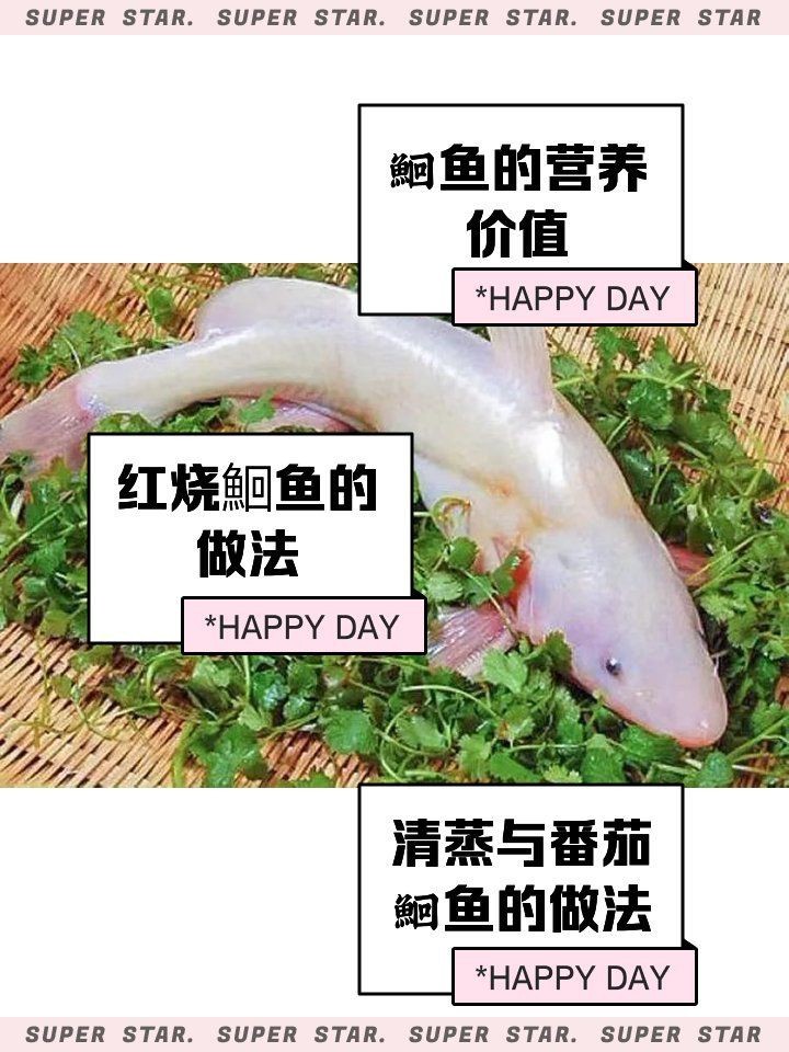 鮰魚有幾種顏色【鮰魚和鯰魚有什么區(qū)別】