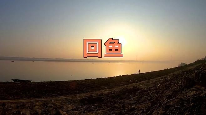 鮰魚有幾種顏色【鮰魚和鯰魚有什么區(qū)別】