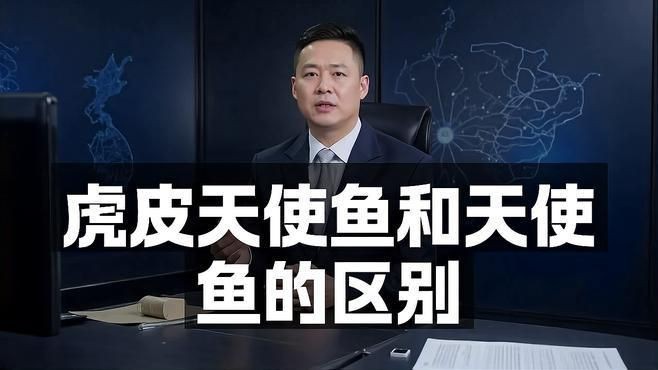 老虎天使魚和天使魚哪個更漂亮【老虎天使魚和天使魚在外觀上各有特色】