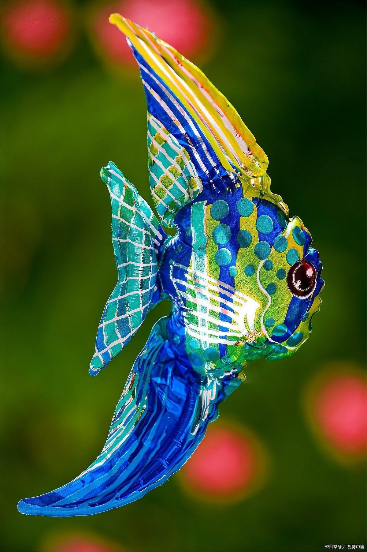 老虎天使魚和天使魚哪個更漂亮【老虎天使魚和天使魚在外觀上各有特色】