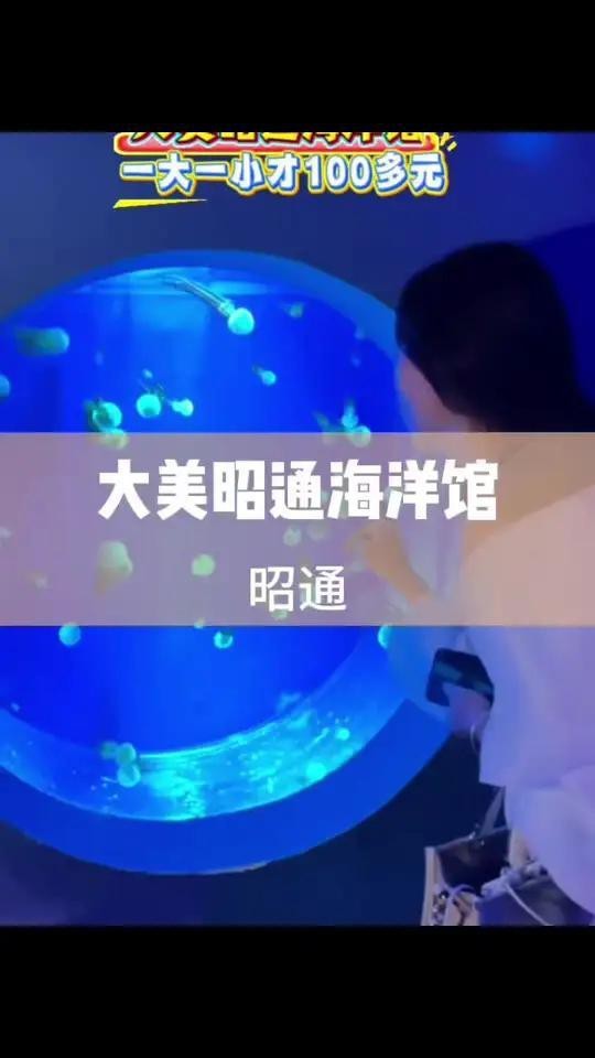 昭通水族店【昭通哪家水族店口碑最好】 昭通水族店【昭通哪家水族店口碑最好】 全國水族館企業(yè)名錄 第7張
