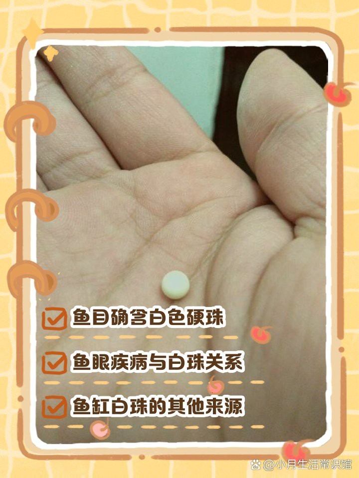 龍魚眼睛凸出白色像痰一樣的是什么【龍魚眼睛凸出白色分泌物】