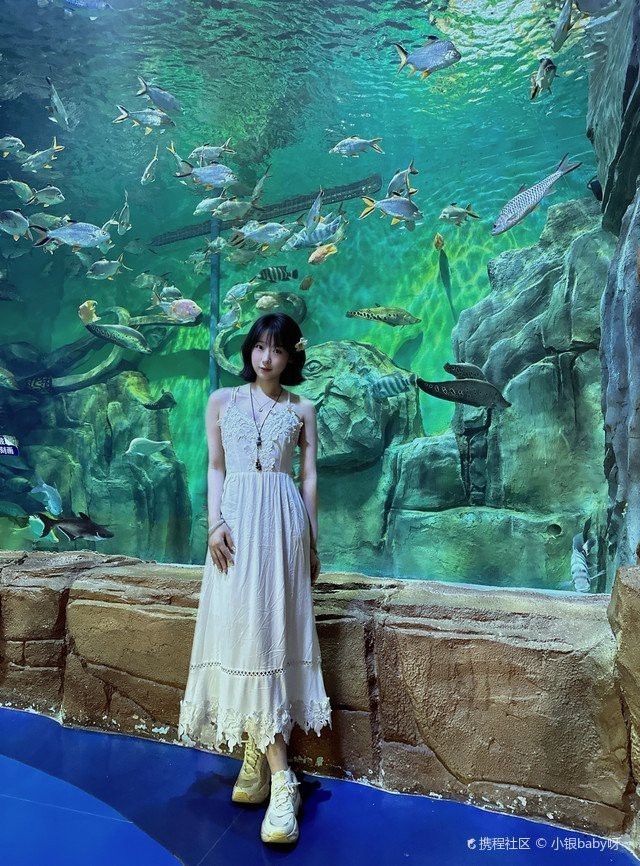 西盟水族店【西盟縣有哪些知名的水族店】