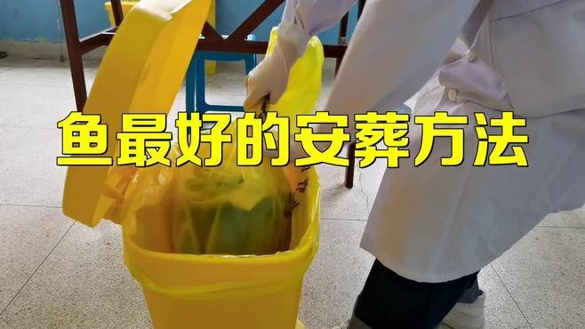 金龍魚死了應該如何處理？【金龍魚死了怎么處理】