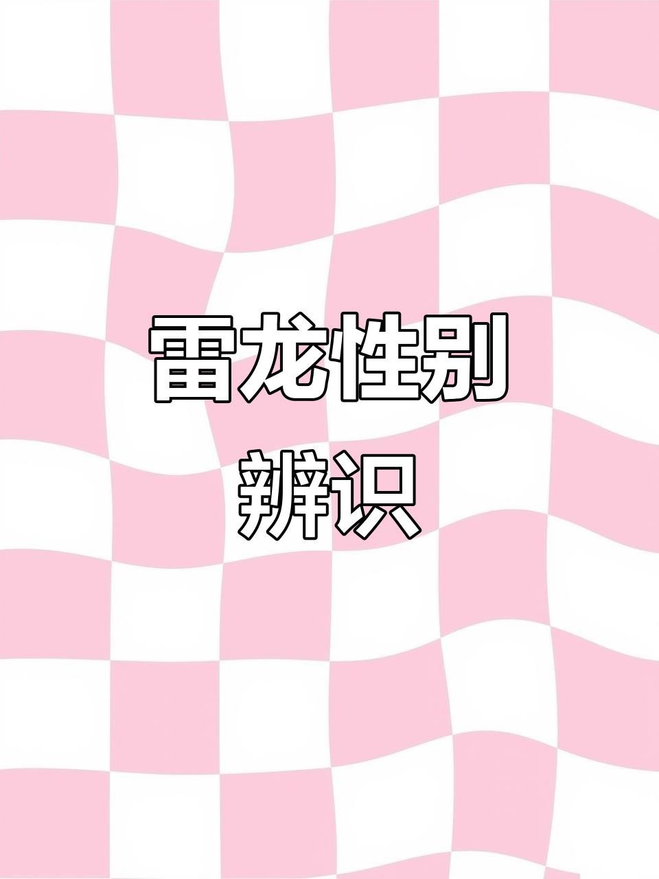 如何區(qū)分雷龍魚(yú)的公母？【《區(qū)分雷龍魚(yú)公母:黃金眼鏡蛇篇》嗶哩嗶哩嗶哩嗶哩嗶哩嗶哩嗶哩】
