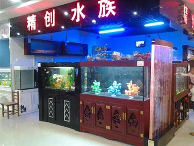 杞縣水族店【杞縣水族市場(chǎng)以祥龍魚(yú)場(chǎng)分店為代表主營(yíng)高端龍魚(yú)等觀賞魚(yú)及配套器材】