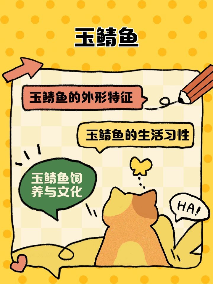 頂級玉鯖魚是什么魚【日本玉鯖魚的魅力】
