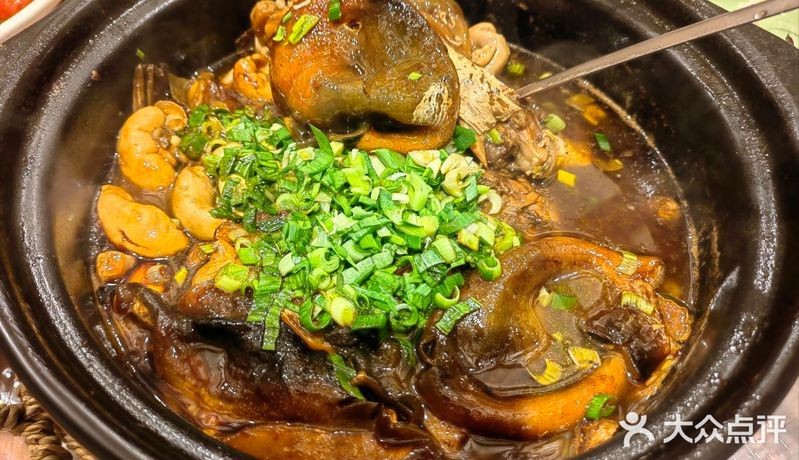 虎丘龍魚店【蘇州虎丘區的龍魚店】 虎丘龍魚店【蘇州虎丘區的龍魚店】 全國水族館企業名錄 第5張