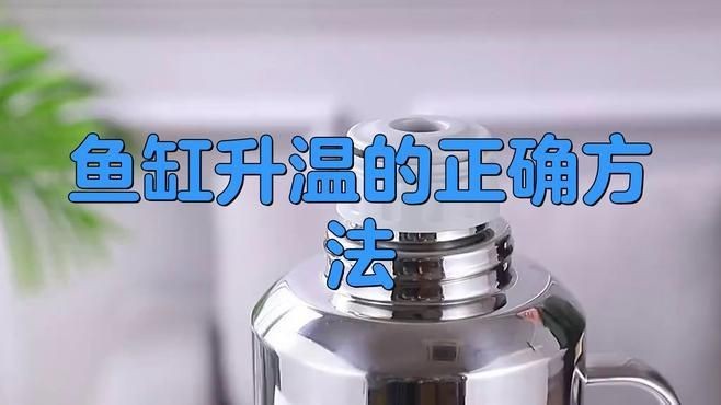 金魚加溫的正確方法【養金魚加溫的正確方法】