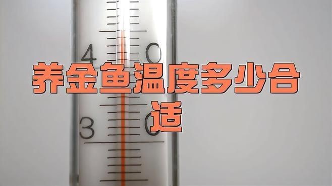 金魚加溫的正確方法【養金魚加溫的正確方法】