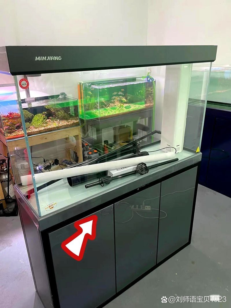 深圳魚缸價格對比【深圳魚缸價格全景解析】