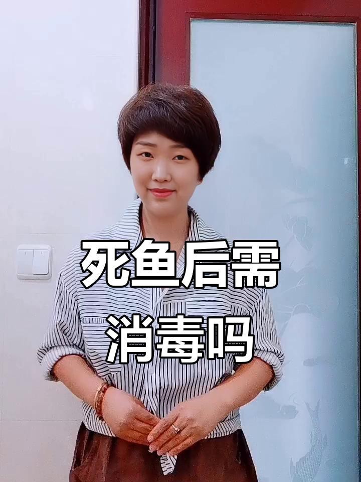 金龍魚死亡后如何處理？【養的金龍魚死了代表什么】