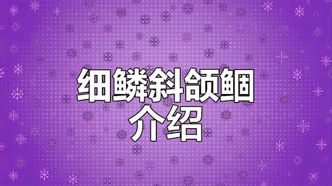 鲴魚有哪幾種【鲴魚是鯉形目鯉科密鲴亞科下的重要經濟魚類類類群】