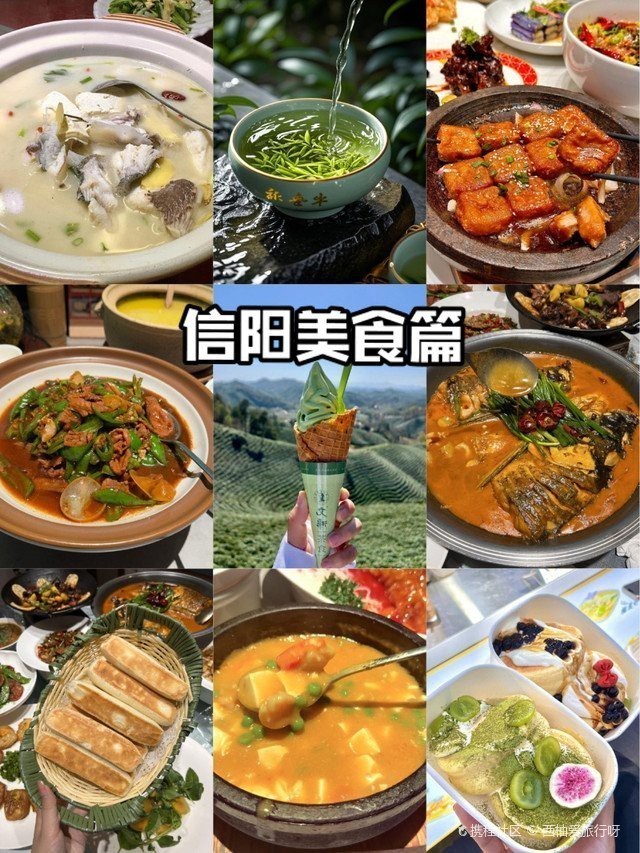 浉河龍魚(yú)店【信陽(yáng)龍魚(yú)(百度地圖百度地圖店內(nèi)有哪些龍魚(yú)品種】