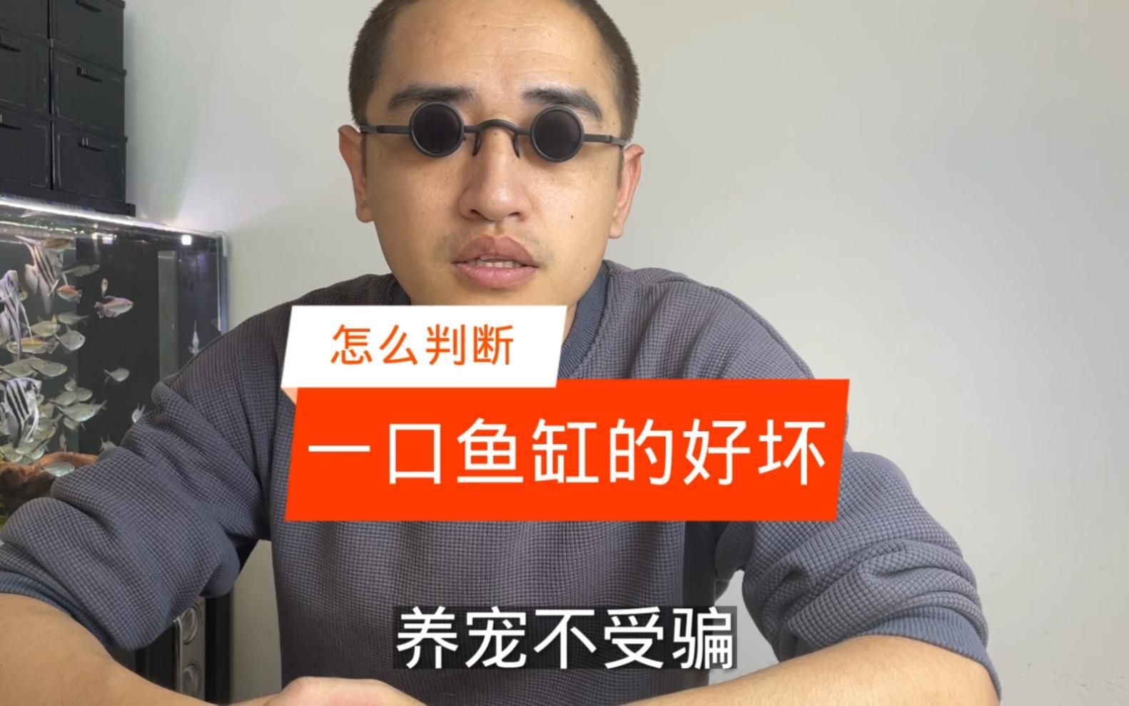 如何判斷一個魚缸品牌的好壞？【判斷魚缸品牌的好壞需綜合考慮材質、功能設計及售后服務等多方面因素】