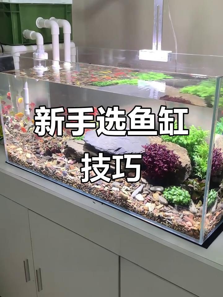 如何判斷一個魚缸品牌的好壞？【判斷魚缸品牌的好壞需綜合考慮材質、功能設計及售后服務等多方面因素】