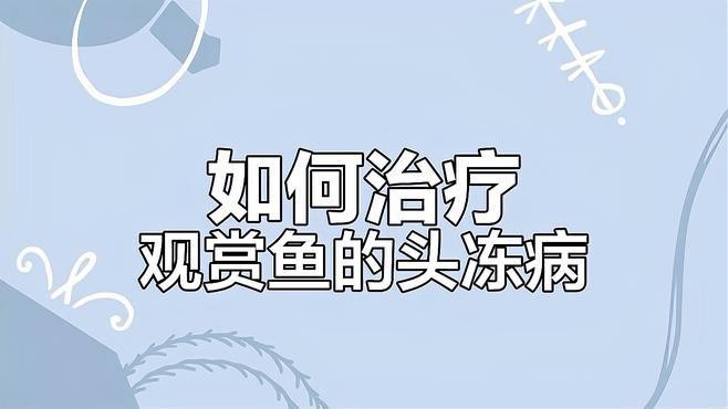 紅龍魚頭洞病如何治療？【紅龍魚頭洞病怎么治療】