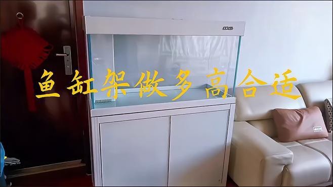 魚缸架高度70好還是80好【為何魚缸架都是70cm高自然訪客】