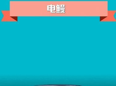 電鰻電電鰻繞口令歌詞【用電鰻的電電電鰻會不會電電鰻】